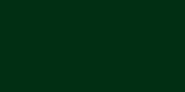 Amostra de cor para o código hexadecimal #012e15