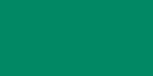 Amostra de cor para o código hexadecimal #018864