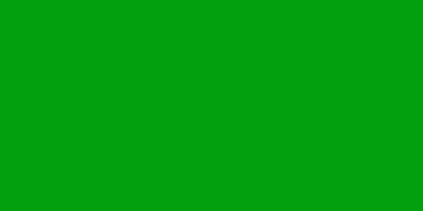Amostra de cor para o código hexadecimal #02a00f