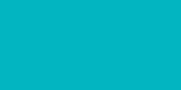 Amostra de cor para o código hexadecimal #02b5c1