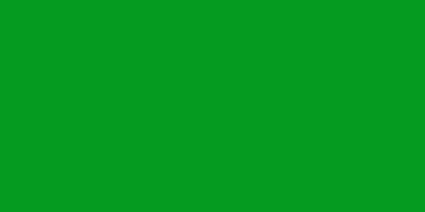 Amostra de cor para o código hexadecimal #039a1e