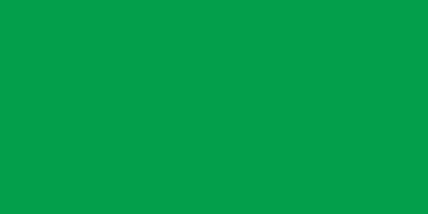 Amostra de cor para o código hexadecimal #039f4b