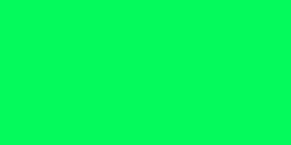 Amostra de cor para o código hexadecimal #04fa5c