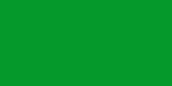 Amostra de cor para o código hexadecimal #05982b