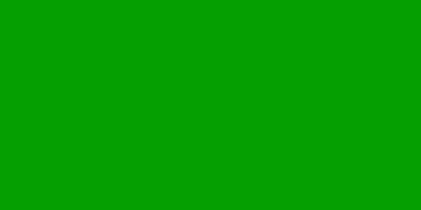 Amostra de cor para o código hexadecimal #059f01