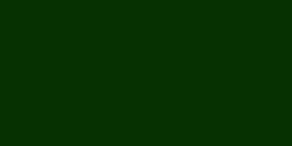 Amostra de cor para o código hexadecimal #063101