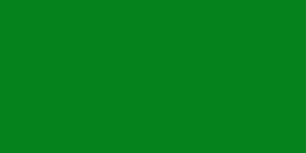 Amostra de cor para o código hexadecimal #06821d