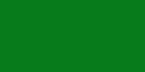 Amostra de cor para o código hexadecimal #077b1b