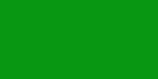 Amostra de cor para o código hexadecimal #089712