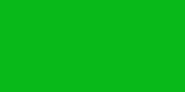 Amostra de cor para o código hexadecimal #08b919
