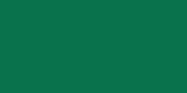 Amostra de cor para o código hexadecimal #09724c