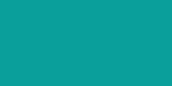 Amostra de cor para o código hexadecimal #0b9f9c