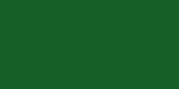 Amostra de cor para o código hexadecimal #165f26