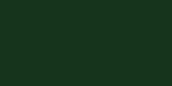 Amostra de cor para o código hexadecimal #18331b