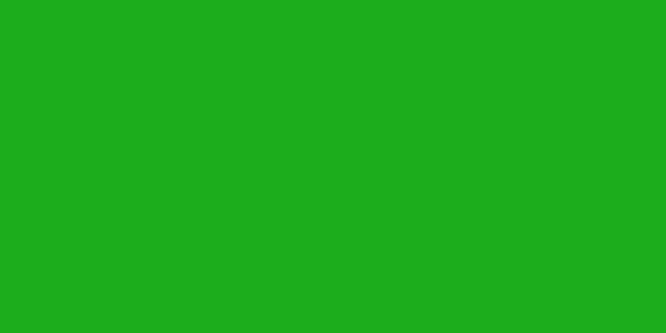 Amostra de cor para o código hexadecimal #1cad1c