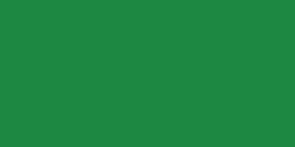 Amostra de cor para o código hexadecimal #1d8842