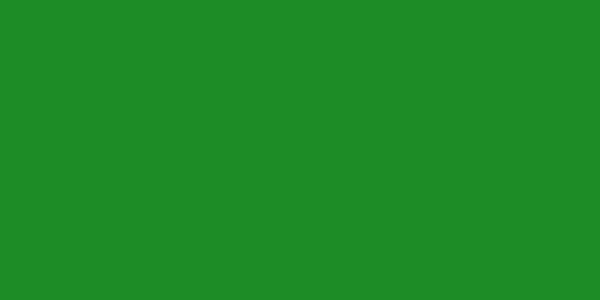 Amostra de cor para o código hexadecimal #1d8c26