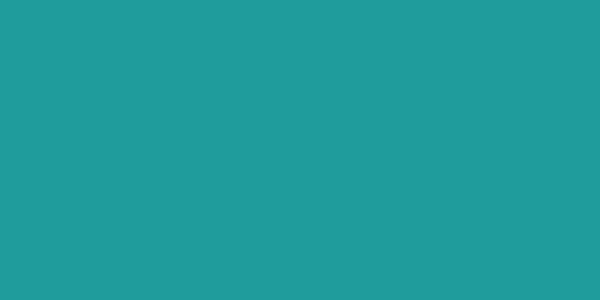 Amostra de cor para o código hexadecimal #1f9c9c
