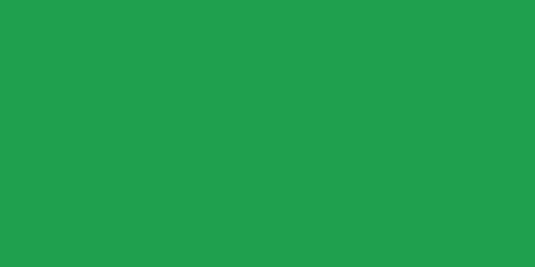 Amostra de cor para o código hexadecimal #1fa04f