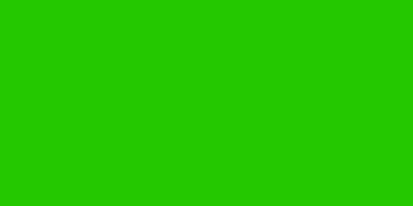 Amostra de cor para o código hexadecimal #24c800