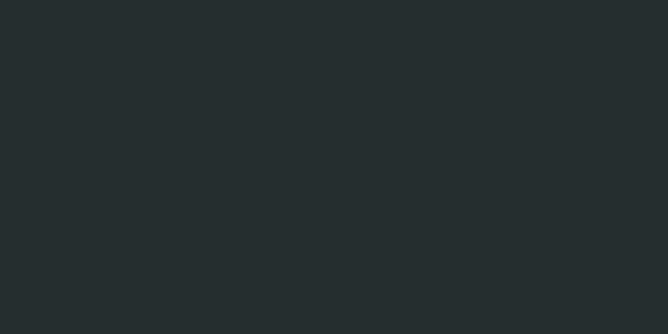 Amostra de cor para o código hexadecimal #252e2f