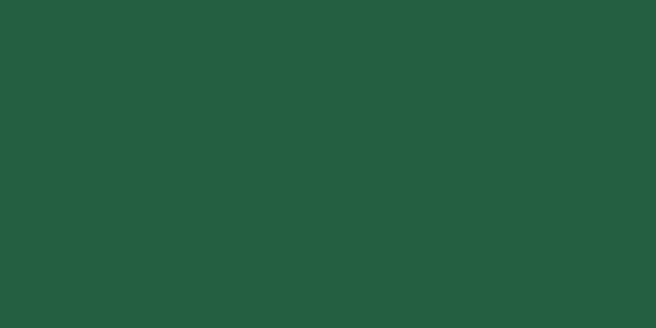 Amostra de cor para o código hexadecimal #255f42