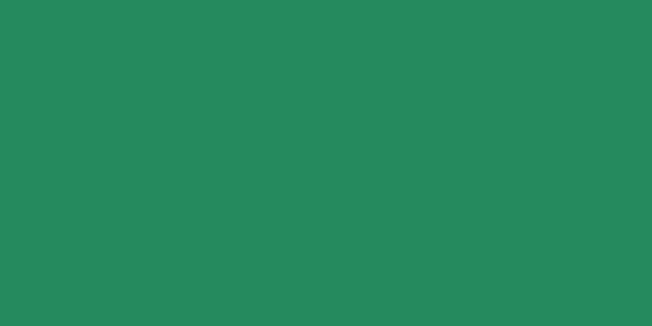 Amostra de cor para o código hexadecimal #288b5f