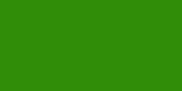 Amostra de cor para o código hexadecimal #308d08