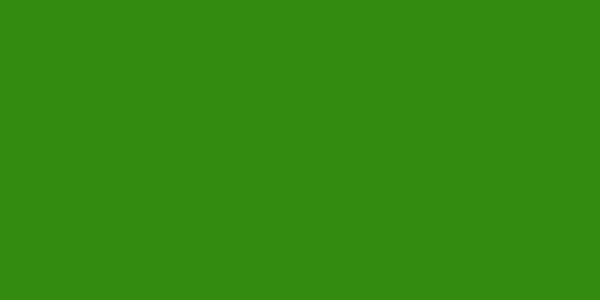 Amostra de cor para o código hexadecimal #338b0f