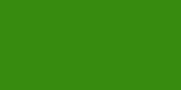Amostra de cor para o código hexadecimal #388b0f