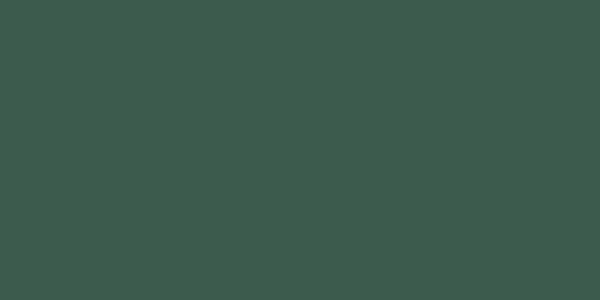 Amostra de cor para o código hexadecimal #3c5b4d