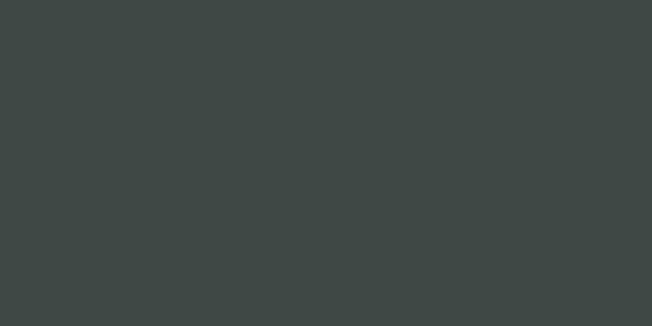 Amostra de cor para o código hexadecimal #404845
