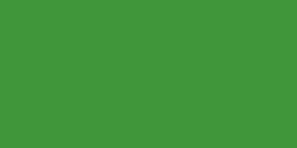 Amostra de cor para o código hexadecimal #40963a