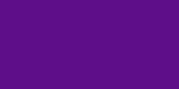 #5f0e8a