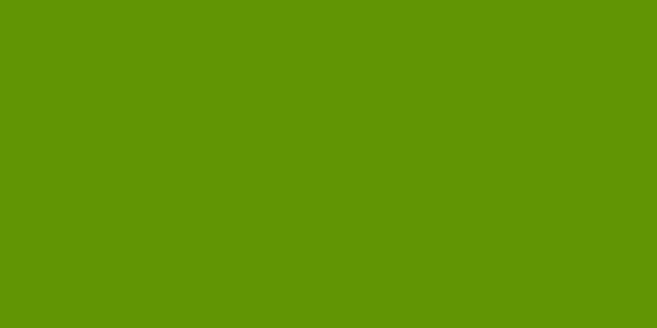 Amostra de cor para o código hexadecimal #5f9502
