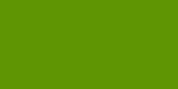 Amostra de cor para o código hexadecimal #5f9503