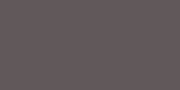 Amostra de cor para o código hexadecimal #61585a