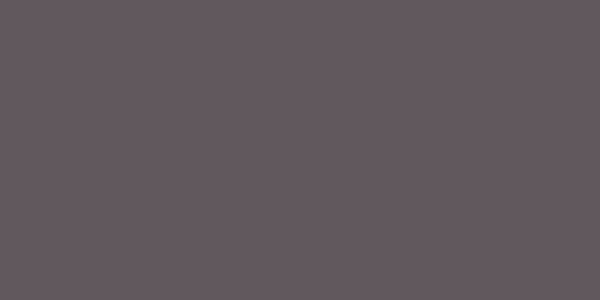 Amostra de cor para o código hexadecimal #61585d