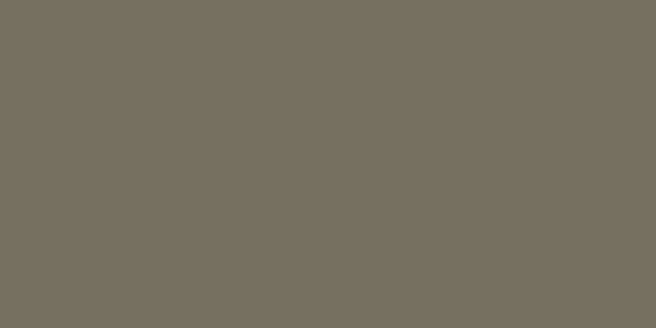 Amostra de cor para o código hexadecimal #75705f