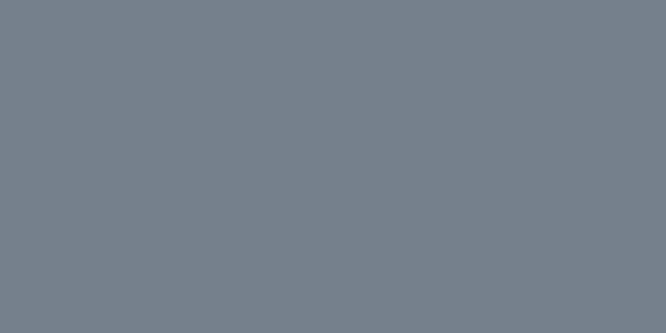 Amostra de cor para o código hexadecimal #75808c
