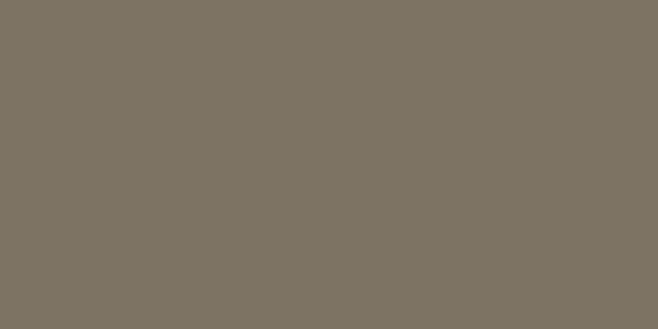 Amostra de cor para o código hexadecimal #7d7363
