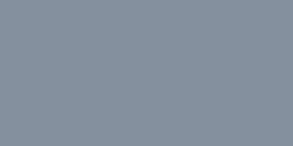 Amostra de cor para o código hexadecimal #84909e