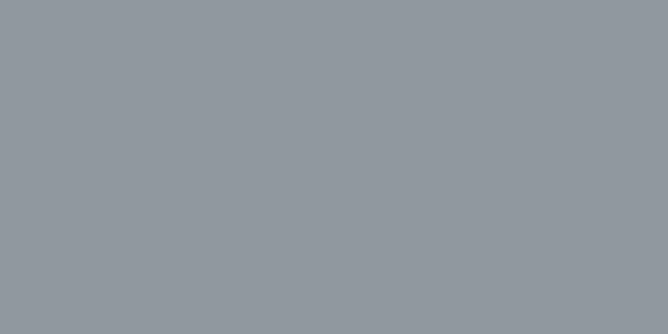 Amostra de cor para o código hexadecimal #90989f