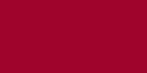 #9f042e