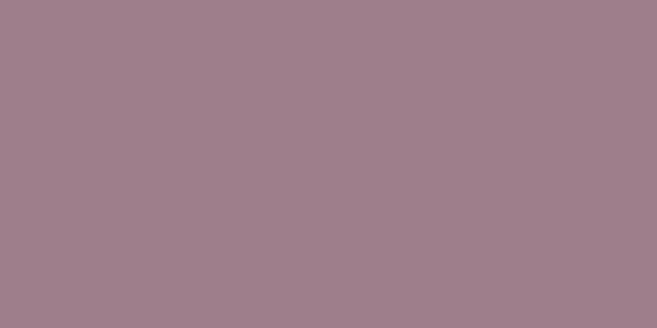 #9f7e8c