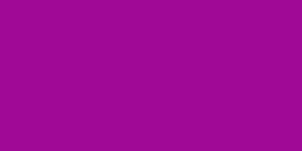 Amostra de cor para o código hexadecimal #a00996