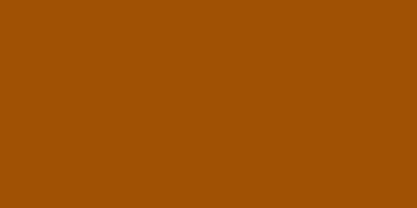 Amostra de cor para o código hexadecimal #a05104