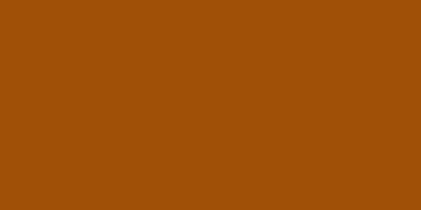 Amostra de cor para o código hexadecimal #a05107