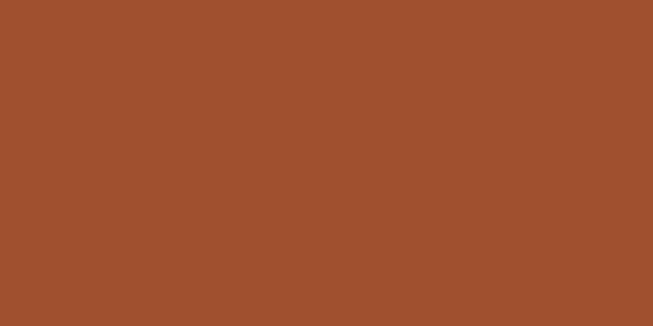 Amostra de cor para o código hexadecimal #a05130