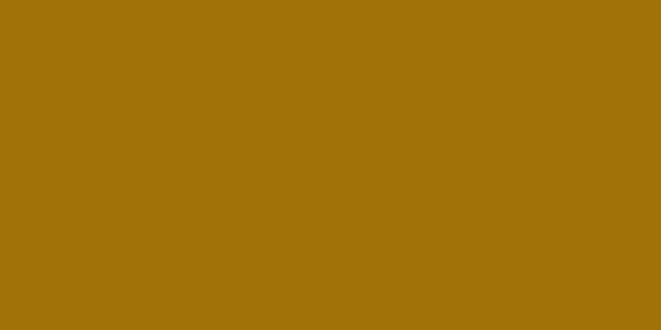 Amostra de cor para o código hexadecimal #a07104